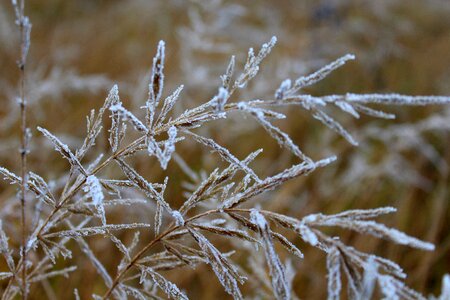 Winter nature season
