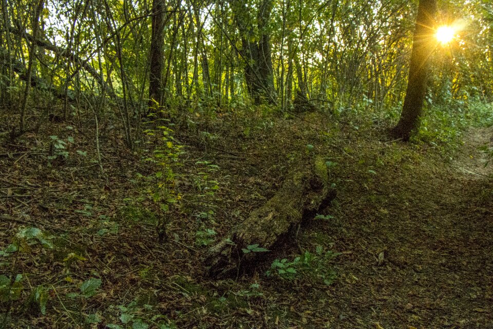 Slovakia nature west