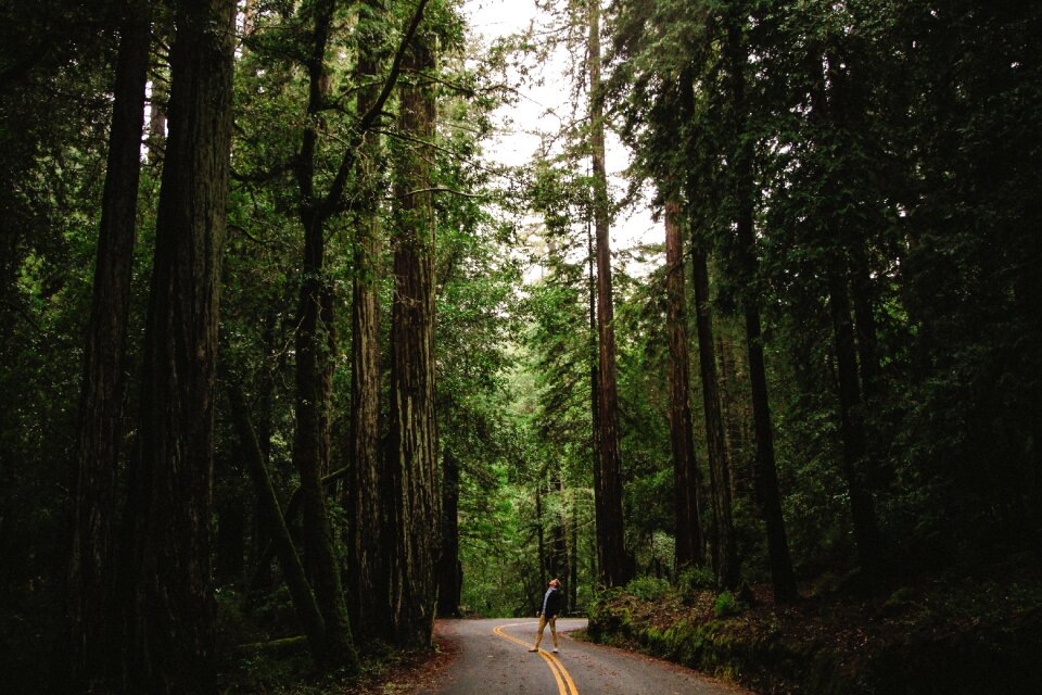 Adventure alone nature photo