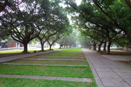 Wenli Boulevard - Tunghai University - DSC01454