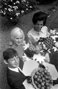 Wil Scholtens, Ellen Bouwmeester en Heleen Disselkoten, Bestanddeelnr 922-5921
