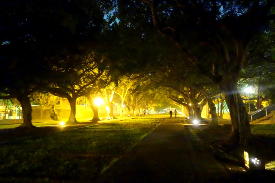 Wenli Boulevard at night - Tunghai University - DSC01606