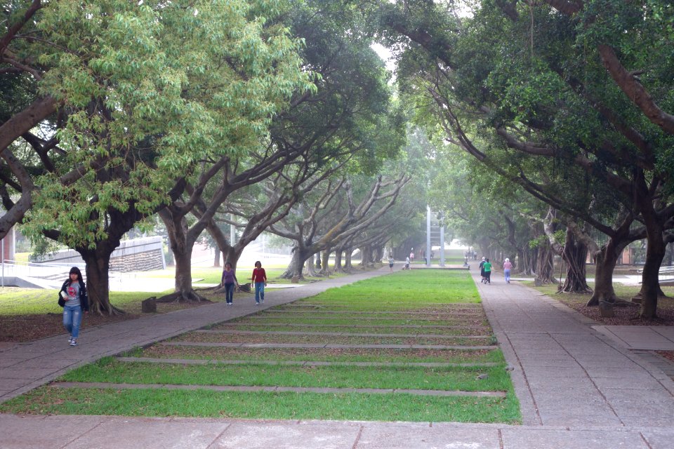 Wenli Boulevard - Tunghai University - DSC01452