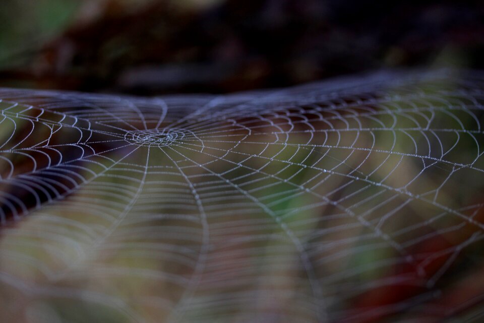 Place dew drops