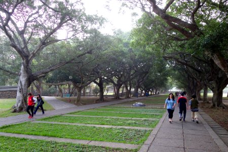 Wenli Boulevard - Tunghai University - DSC01478