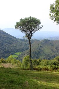 South france vacancy