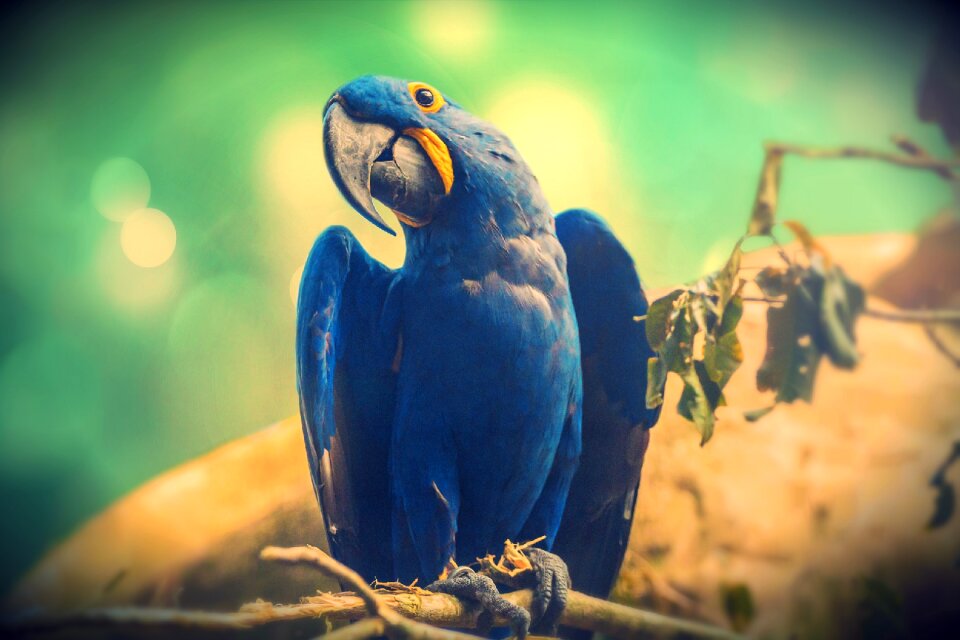 Wild wildlife zoo