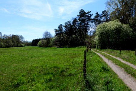Wehrdamm Mellensee Kleiner Wünsdorfer See 2021-05-09 27
