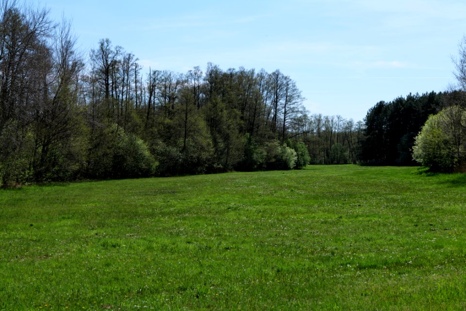 Wehrdamm Mellensee Kleiner Wünsdorfer See 2021-05-09 20