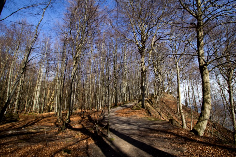 Weg am Gakower Hochufer (Sassnitz, Rügen)