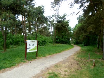 Weert-grafheuvelveld Boshoverheide (32)