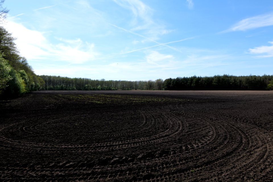 Wehrdamm Mellensee Kleiner Wünsdorfer See 2021-05-09 138