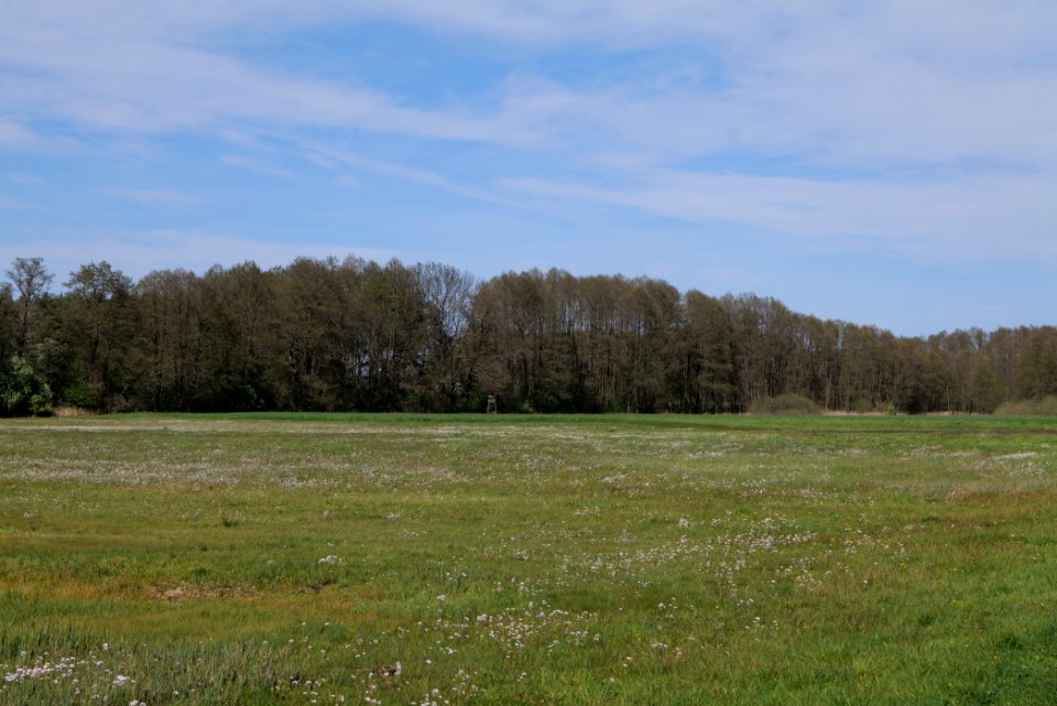 Wehrdamm Mellensee Kleiner Wünsdorfer See 2021-05-09 132