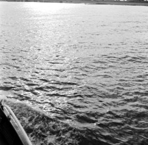 Weerspiegeling van de ondergaande zon in de Waal gezien vanaf de reling van het…, Bestanddeelnr 254-0936