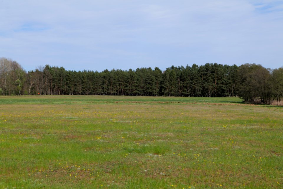 Wehrdamm Mellensee Kleiner Wünsdorfer See 2021-05-09 144
