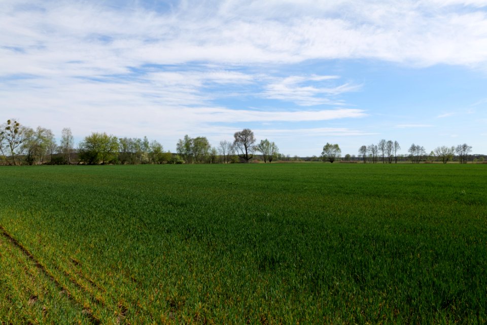 Wehrdamm Mellensee Kleiner Wünsdorfer See 2021-05-09 107