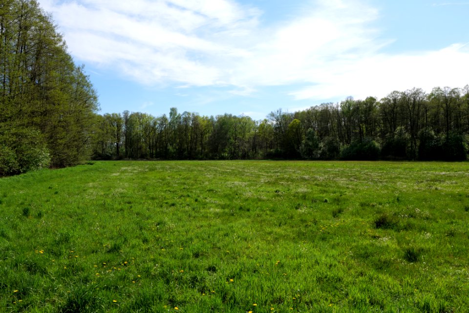 Wehrdamm Mellensee Kleiner Wünsdorfer See 2021-05-09 126