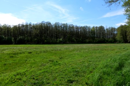 Wehrdamm Mellensee Kleiner Wünsdorfer See 2021-05-09 127