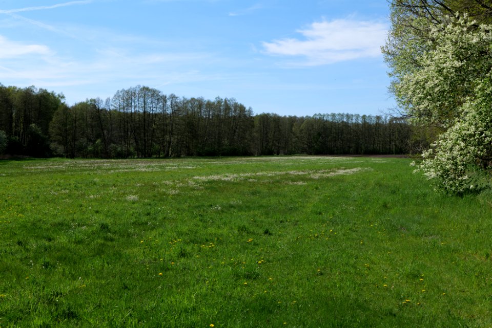 Wehrdamm Mellensee Kleiner Wünsdorfer See 2021-05-09 122
