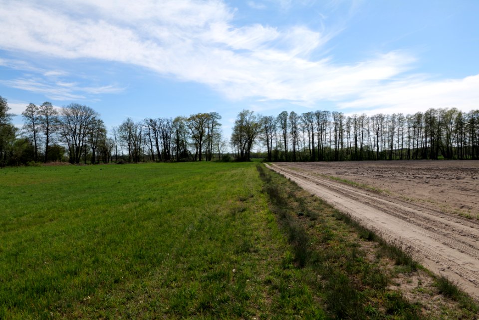 Wehrdamm Mellensee Kleiner Wünsdorfer See 2021-05-09 101