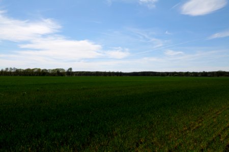 Wehrdamm Mellensee Kleiner Wünsdorfer See 2021-05-09 109