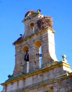 Zamora - Iglesia de San Isidoro 02
