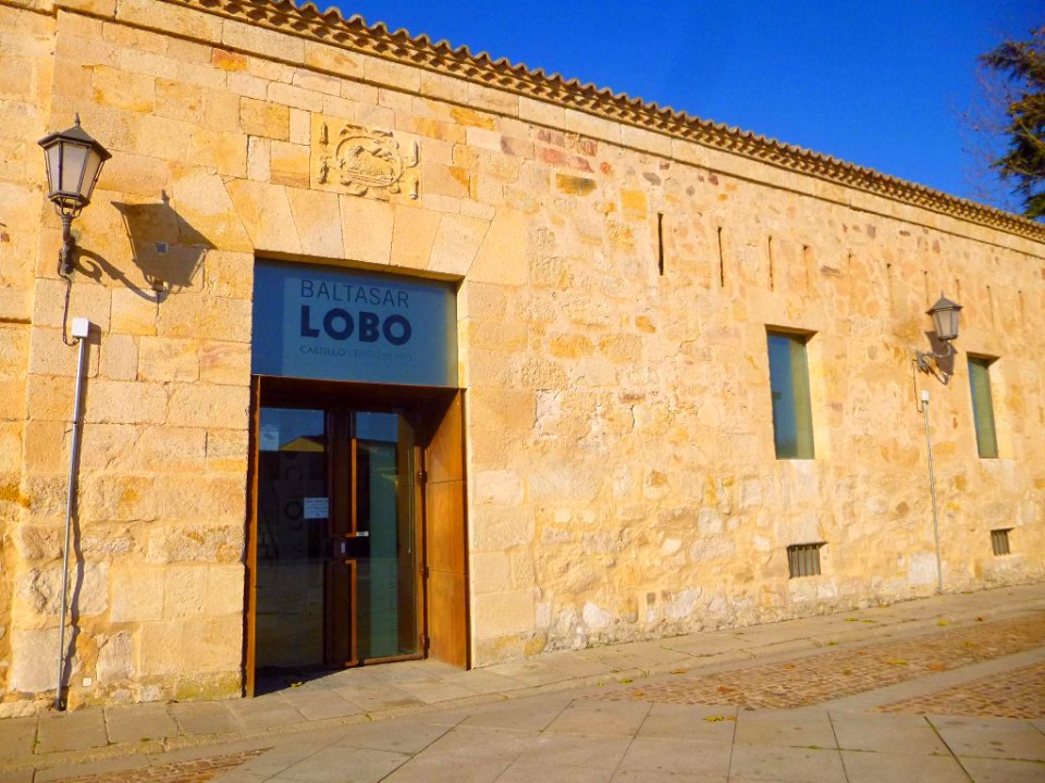 Zamora - Museo Baltasar Lobo 1