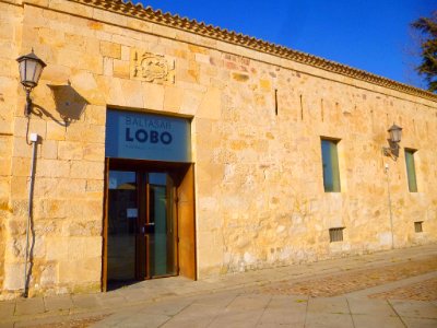 Zamora - Museo Baltasar Lobo 1