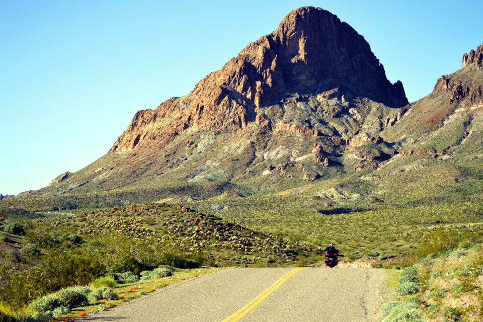 Mountain arizona oatman photo