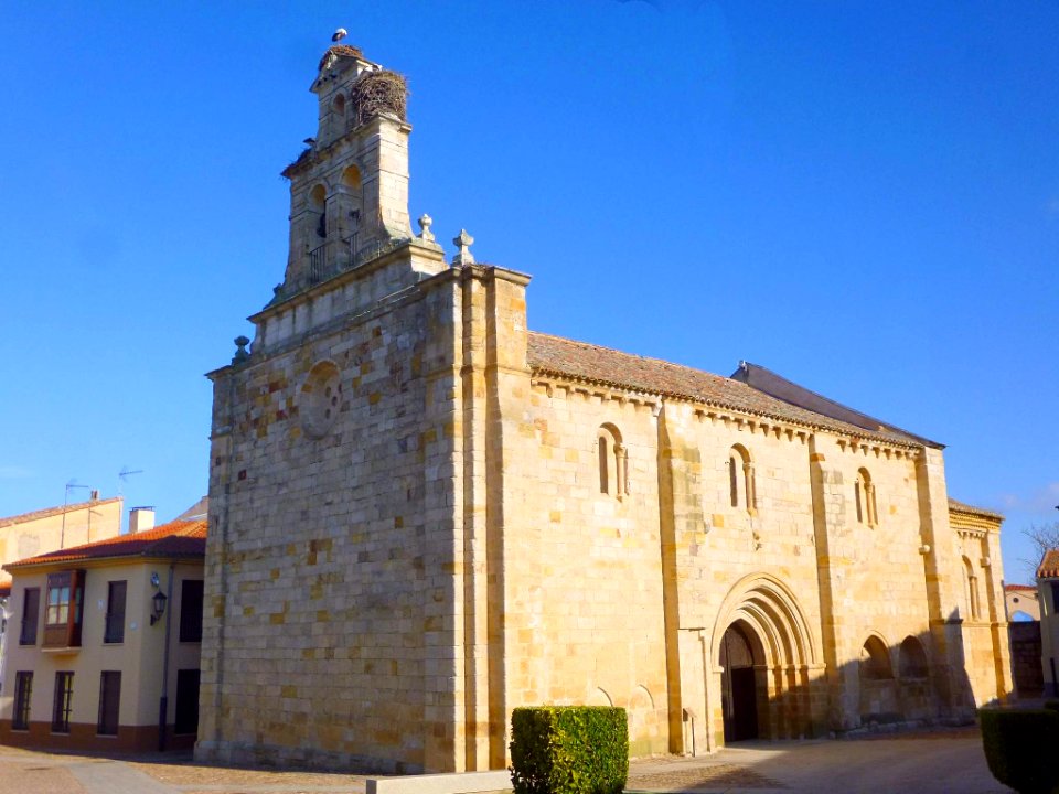 Zamora - Iglesia de San Isidoro 01