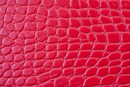 Spotted fabric pink texture