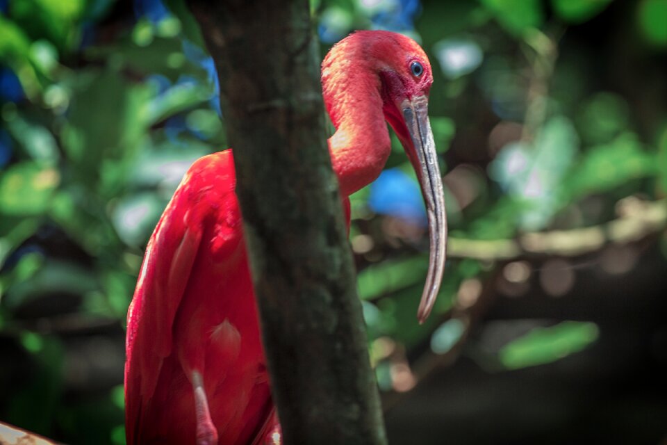 Wild wildlife zoo