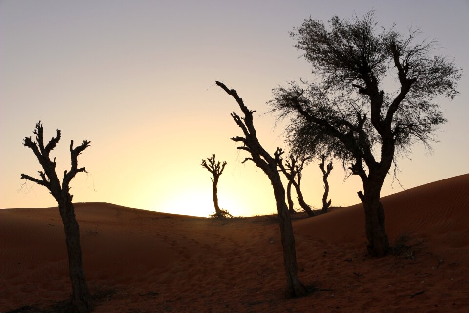 Landscape nature desert