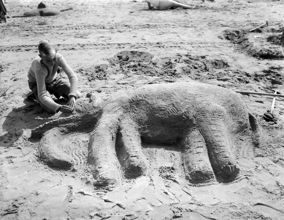 Zandbouwwedstrijd Zandvoort, olifant, Bestanddeelnr 907-2748