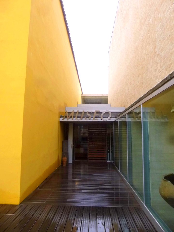 Zamora - Museo de Zamora 03