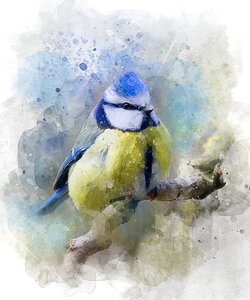 Small bird closeup pen