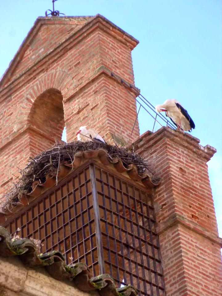 Zamora - Iglesia de San Claudio de Olivares 09