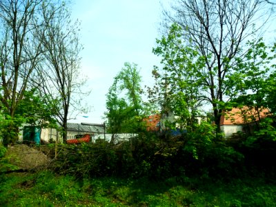 Zamek w Raciborzu od strony południowej 3