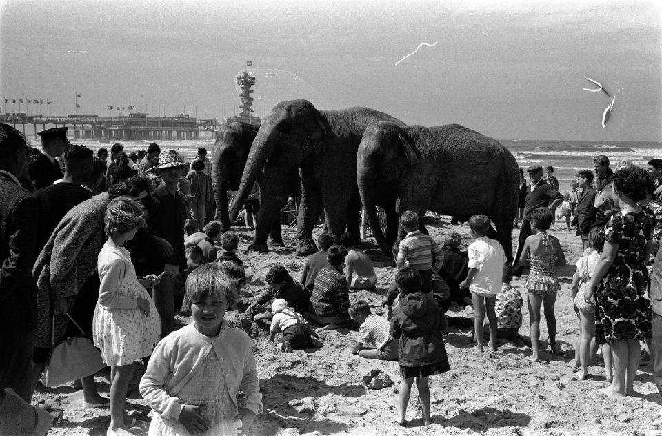 Zandbouwwedstrijd te Scheveningen, Bestanddeelnr 914-2092