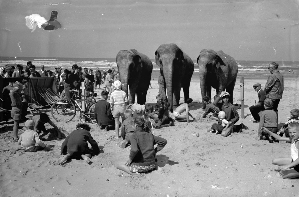 Zandbouwwedstrijd te Scheveningen, Bestanddeelnr 914-2088