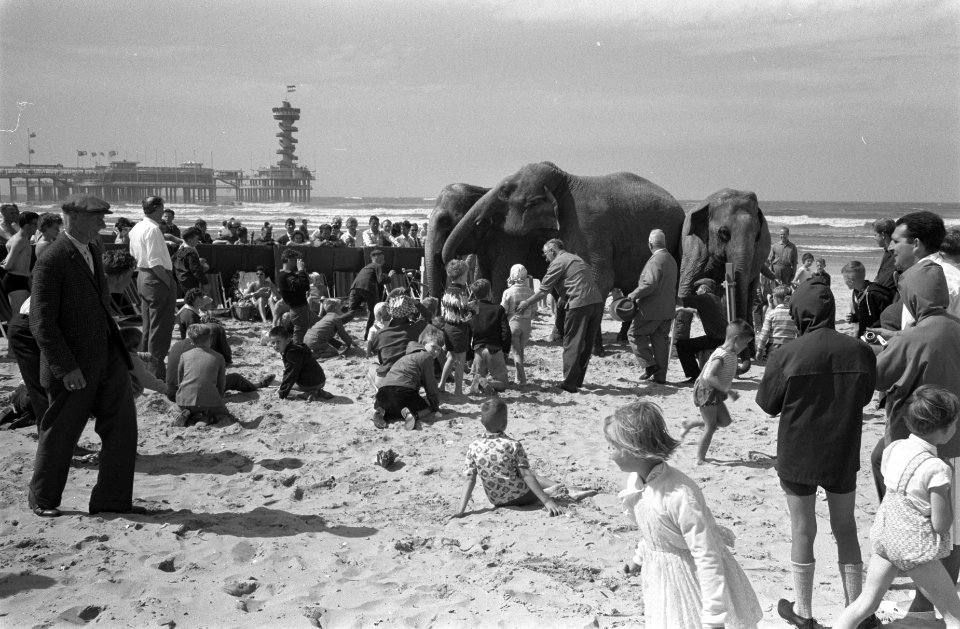 Zandbouwwedstrijd te Scheveningen, Bestanddeelnr 914-2089