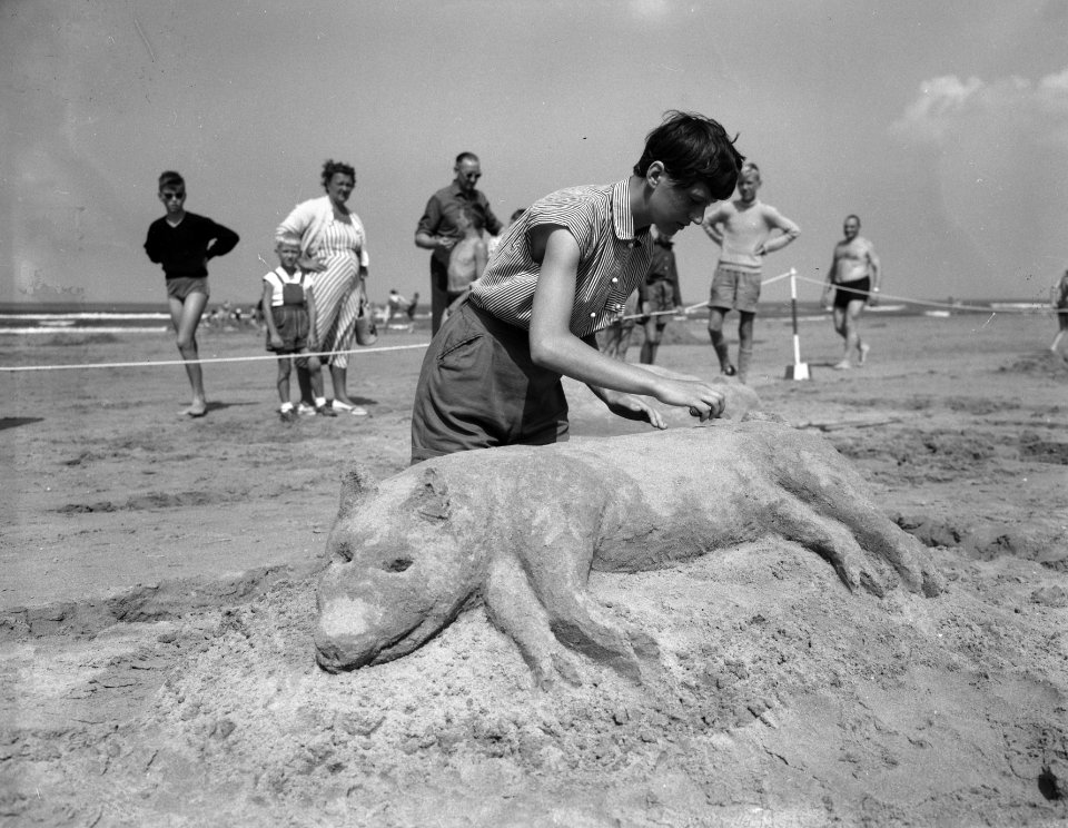 Zandbouwwedstrijd Zandvoort, eerste prijs varken, Bestanddeelnr 907-2746