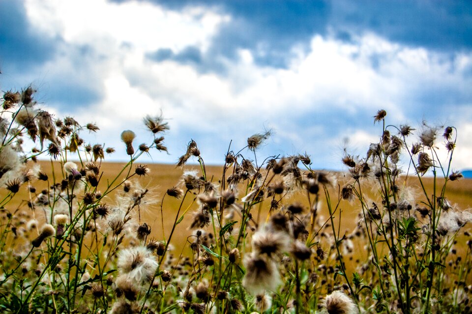 Slovakia nature clouds