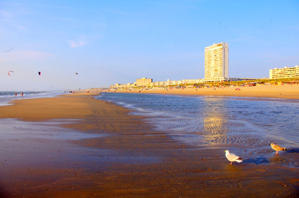 Zandvoort NL 29.07.2011 19-02-29