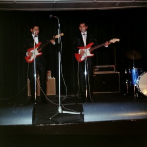 Zangers, De Blue Diamonds, Bestanddeelnr 254-7228
