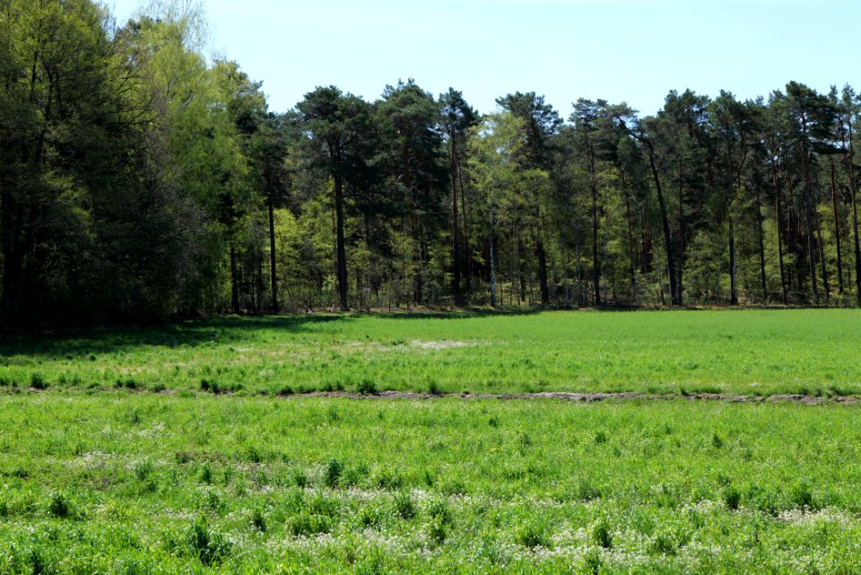 Baruther Urstromtal und Luckenwalder Heide 2021-05-09 64