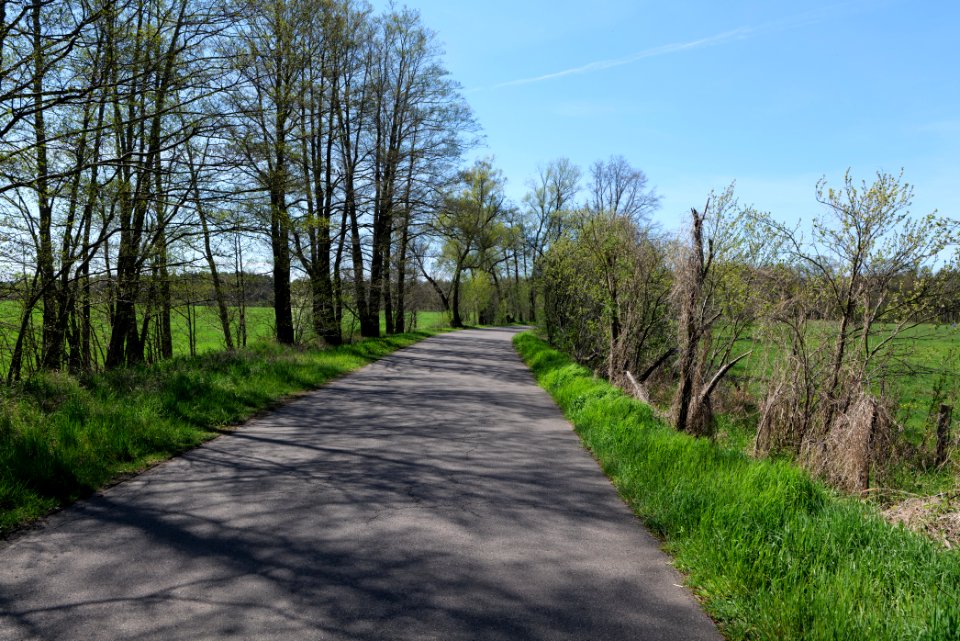 Baruther Urstromtal und Luckenwalder Heide 2021-05-09 48