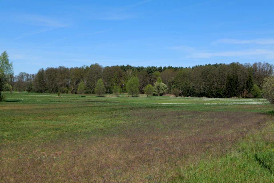 Baruther Urstromtal und Luckenwalder Heide 2021-05-09 47
