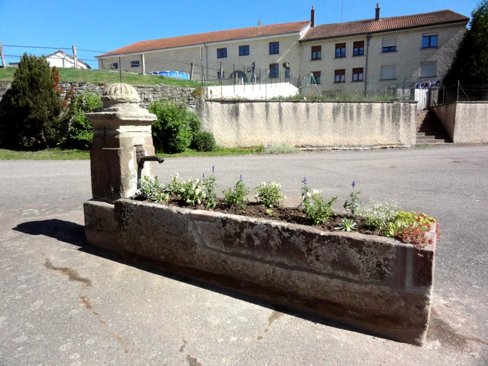 Bassing (Moselle) fontaine fleurie