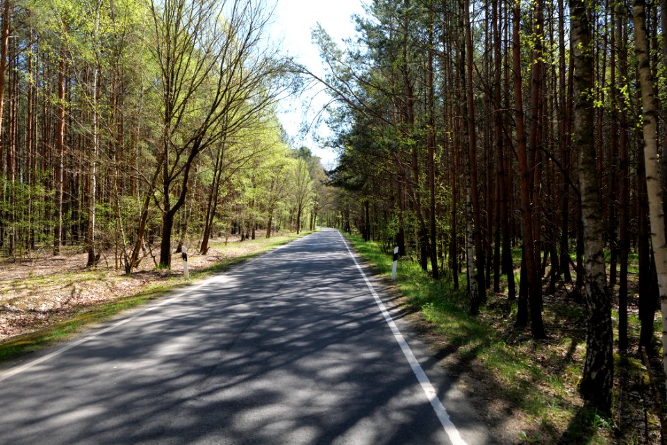 Baruther Urstromtal und Luckenwalder Heide 2021-05-09 77